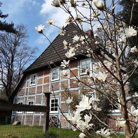 Schönes Apartment vor den Toren Hamburgs - keine Monteurwohnung Asendorf Exterior foto